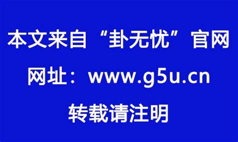 1982生肖狗|1982年属什么生肖 